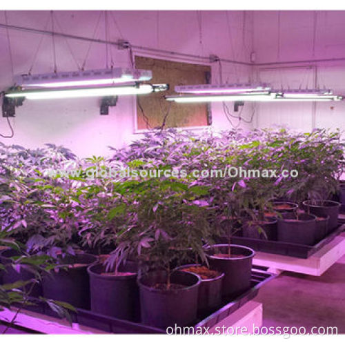 LED Panel Grow Lights for Hydroponics and Agriculture, for Horticulture, Medicinal Plant MarijuanaNew